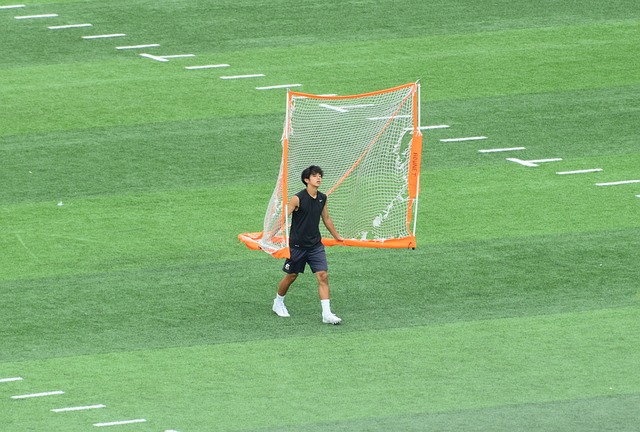 在不断更新